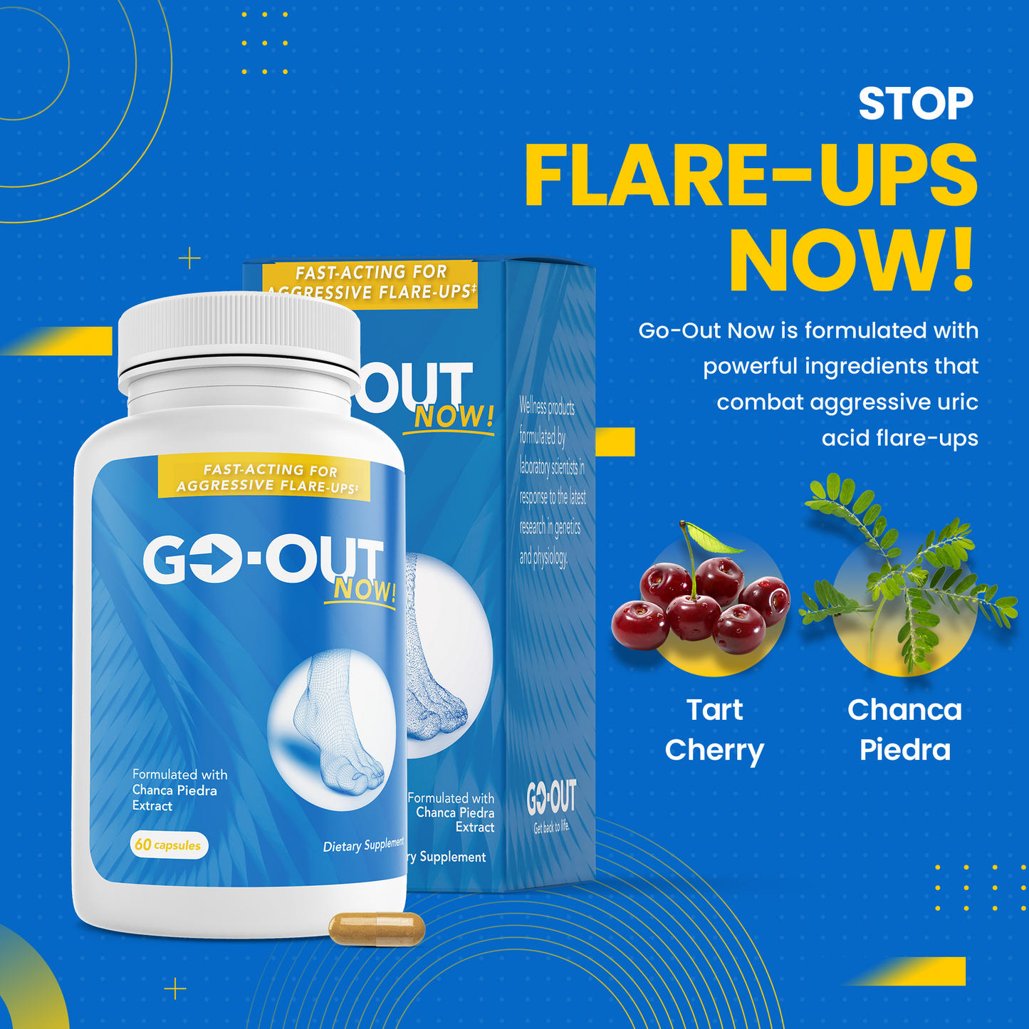 
                  
                    GO-OUT NOW!
                  
                